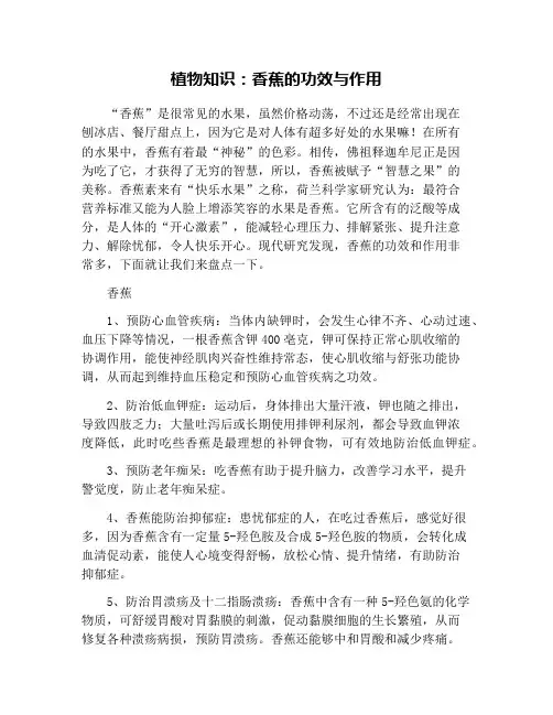 植物知识：香蕉的功效与作用