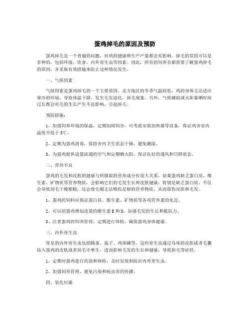 蛋鸡掉毛的原因及预防