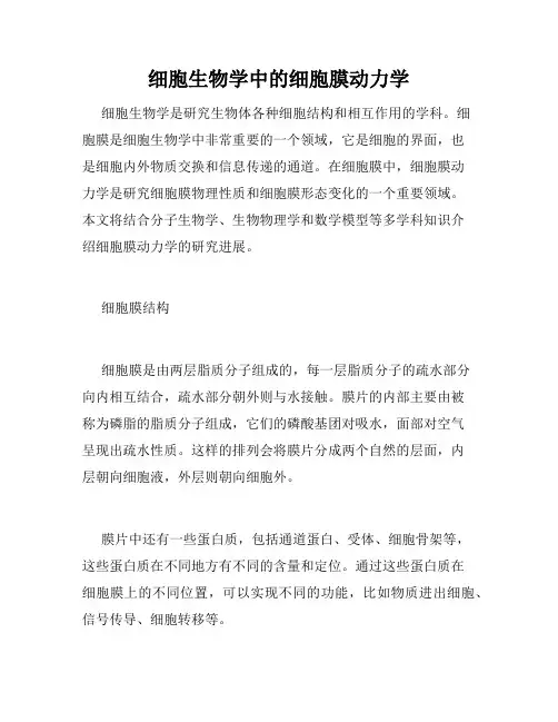 细胞生物学中的细胞膜动力学