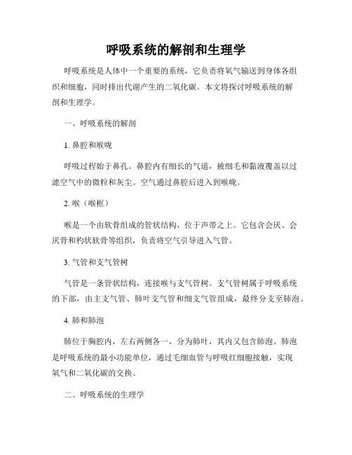 呼吸系统的解剖和生理学