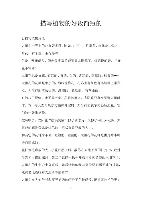 描写植物的好段简短的