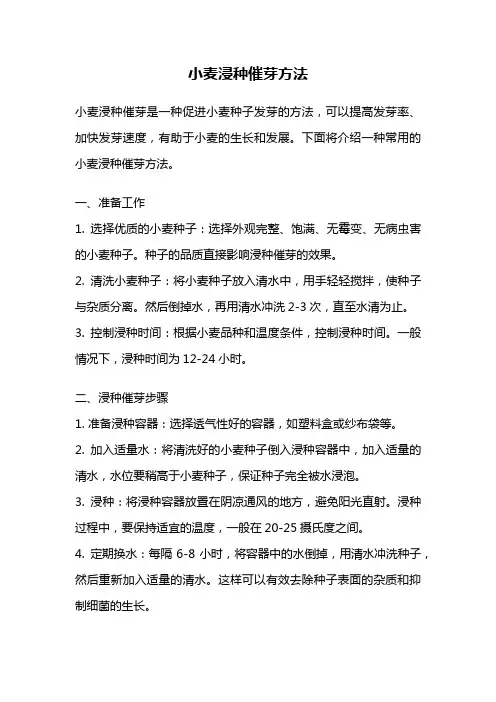 小麦浸种催芽方法