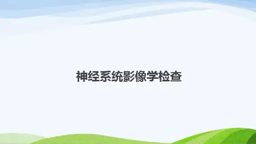 神经系统影像学检查
