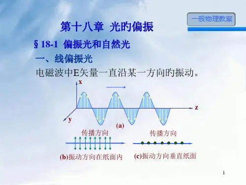 光的偏振专业教育课件