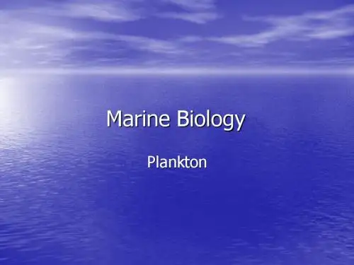 海洋生物-浮游生物