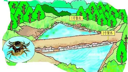 北师大版数学五年级上册4.4三角形的面积课件共15张PPT