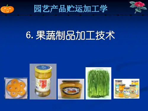 6.果蔬制品加工技术-蔬菜腌制