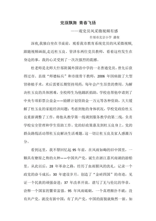 党员风采微视频观后感