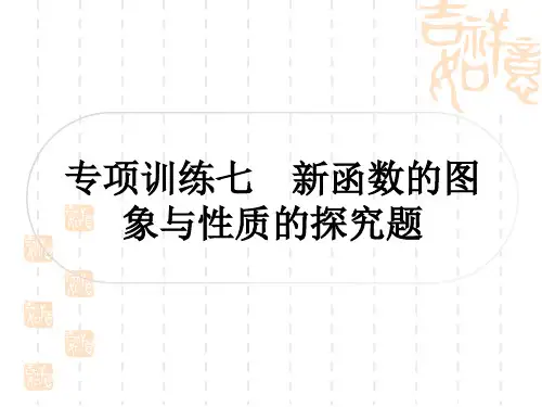 中考数学 中档题突破 专项训练七 新函数的图象与性质的探究题
