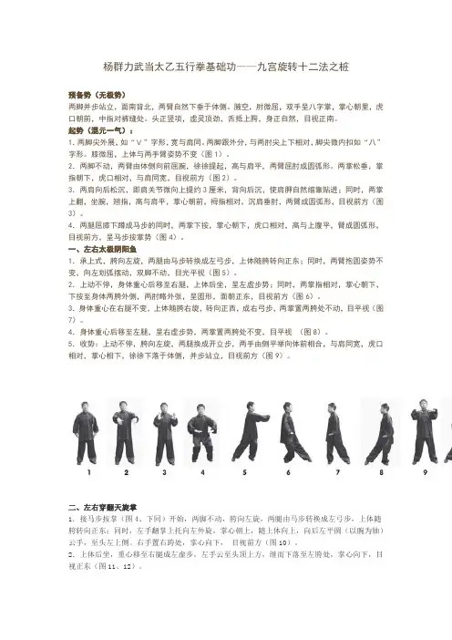 杨群力武当太乙五行拳基础功