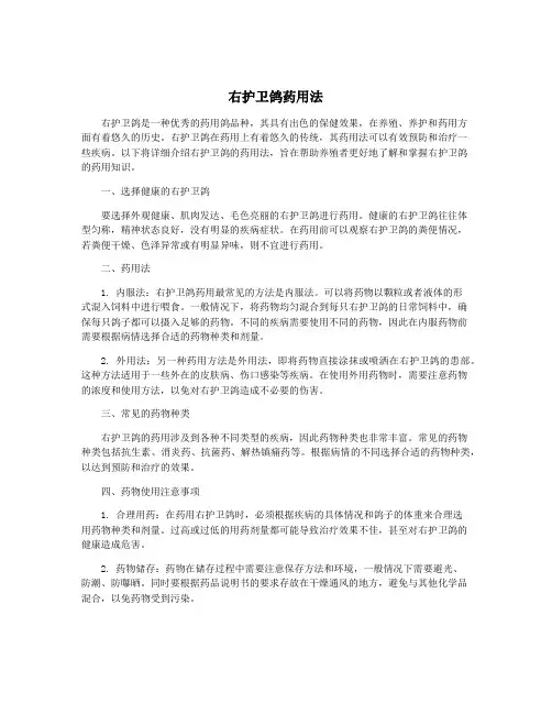 右护卫鸽药用法