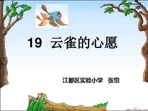 《云雀的心愿》课件