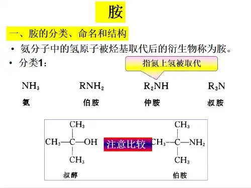 胺的分类和结构