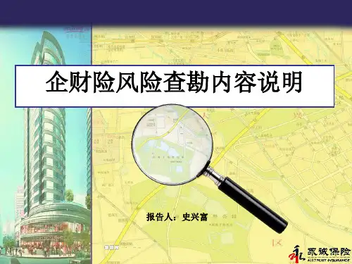 企财险风险查勘报告