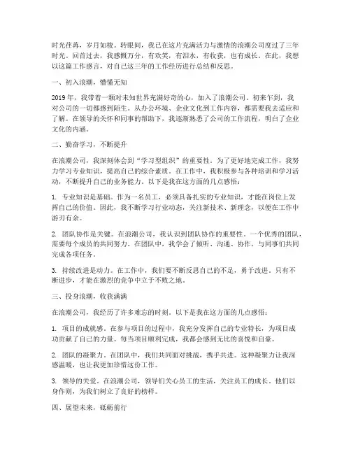 浪潮工作感言