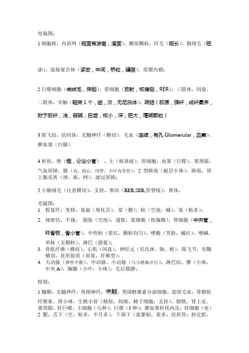 组织学与胚胎学(组胚)图谱考试完全攻略