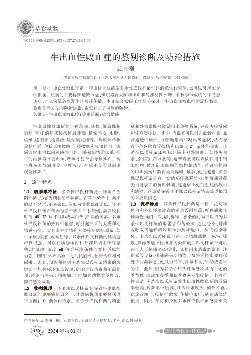牛出血性败血症的鉴别诊断及防治措施