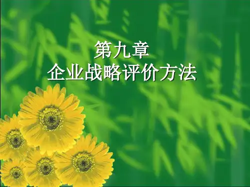 企业战略管理教程(第二版)第09章