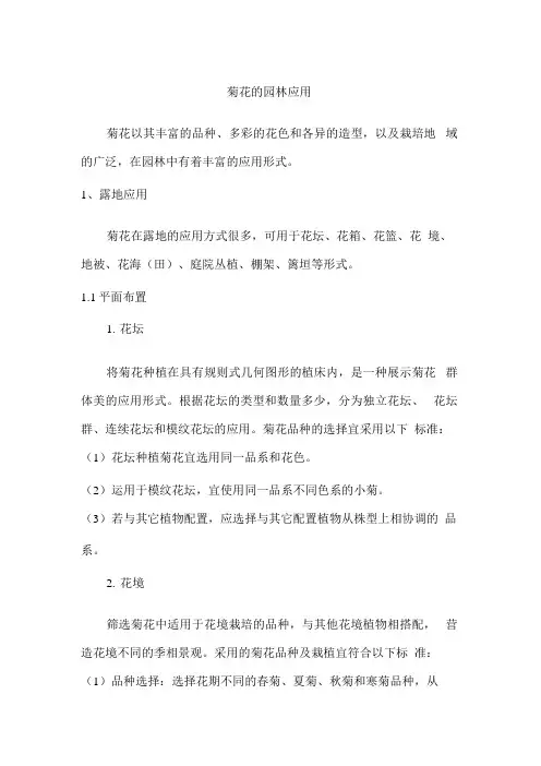 菊花的园林应用