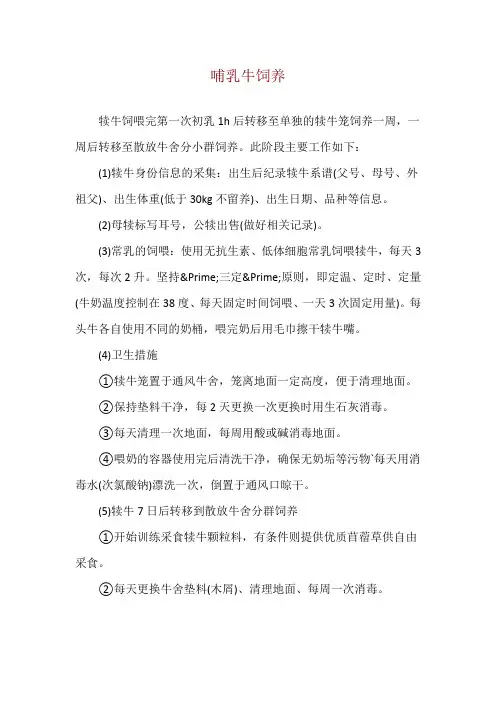 哺乳牛饲养