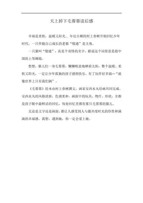 天上掉下毛蓉蓉读后感