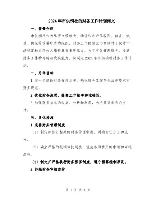 2024年市供销社的财务工作计划例文