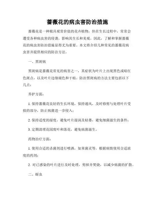 蔷薇花的病虫害防治措施