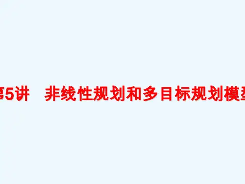 非线性规划和多目标规划模型数学建模