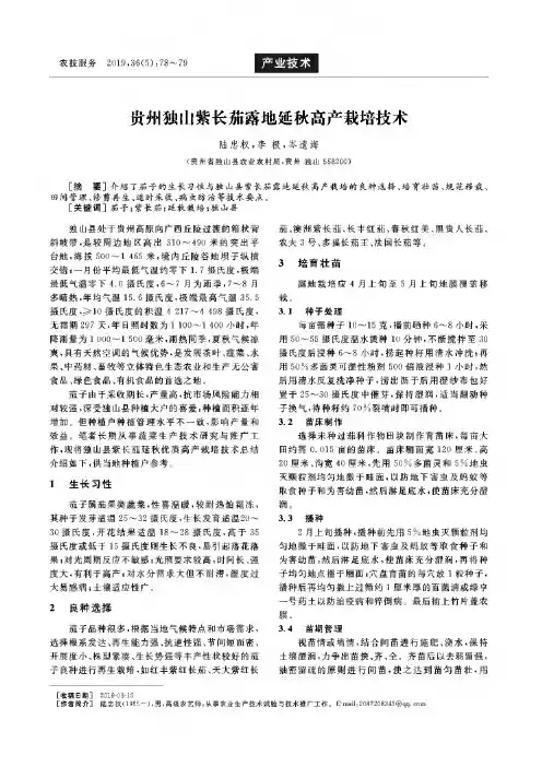 贵州独山紫长茄露地延秋高产栽培技术