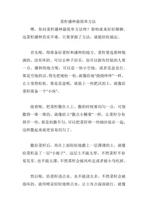 菜籽播种最简单方法