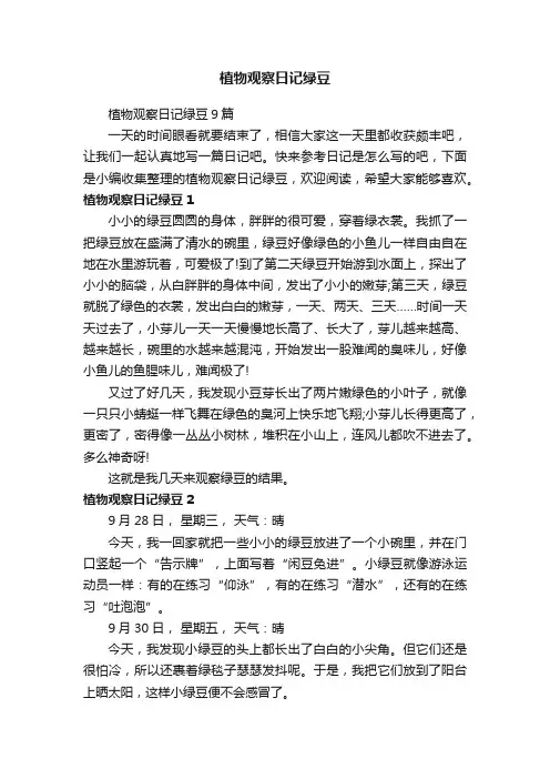 植物观察日记绿豆9篇