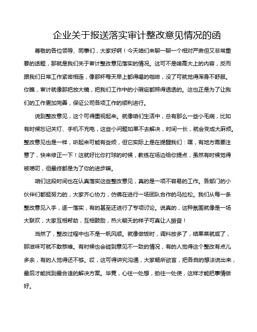 企业关于报送落实审计整改意见情况的函