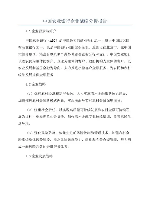 中国农业银行企业战略分析报告