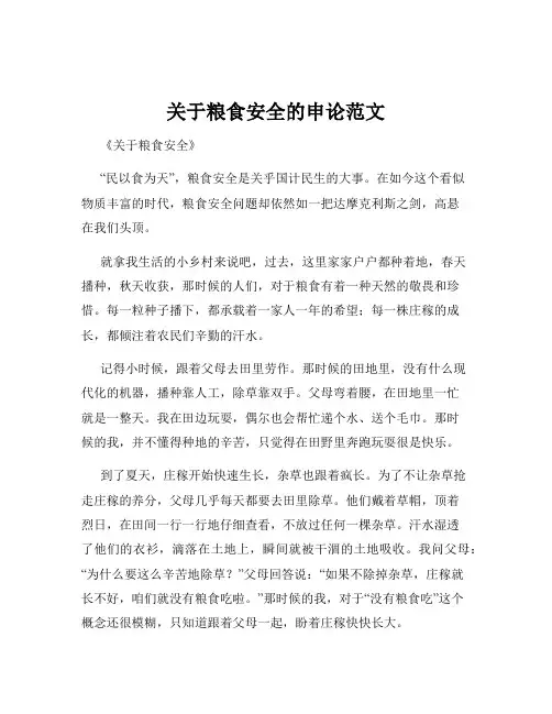 关于粮食安全的申论范文