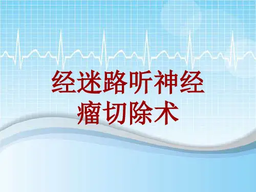 外科手术教学资料：经迷路听神经瘤切除术讲解模板