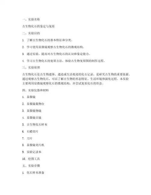 古生物实验报告册