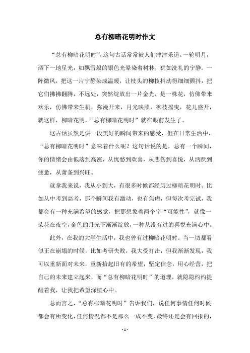 总有柳暗花明时作文