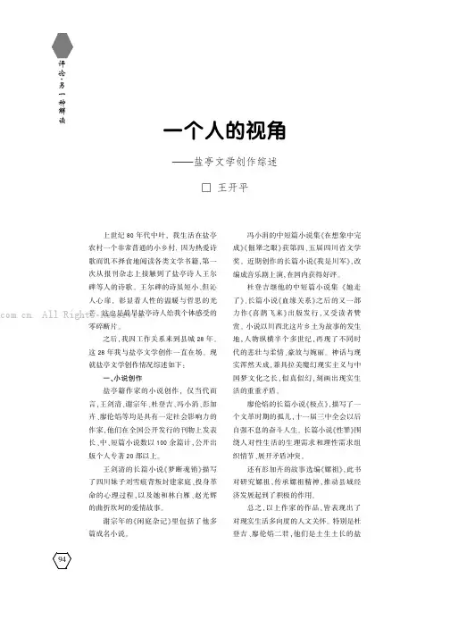 一个人的视角——盐亭文学创作综述