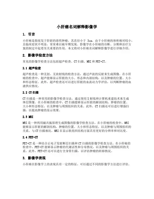 小肝癌名词解释影像学