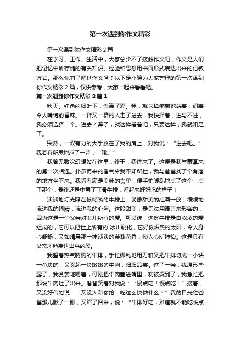 第一次遇到你作文精彩2篇