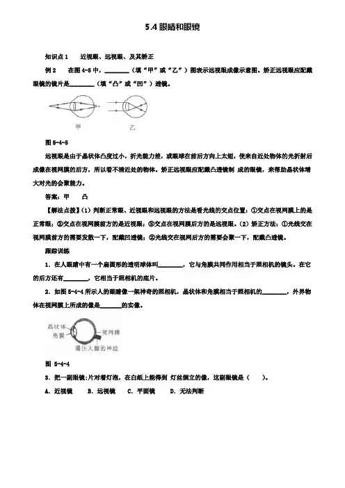 八年级物理上册5.4眼睛和眼镜考点训练(含解析)(附模拟试卷含答案)