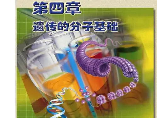 高中生物第四章第一节 探索遗传物质的过程课件苏教版必修2