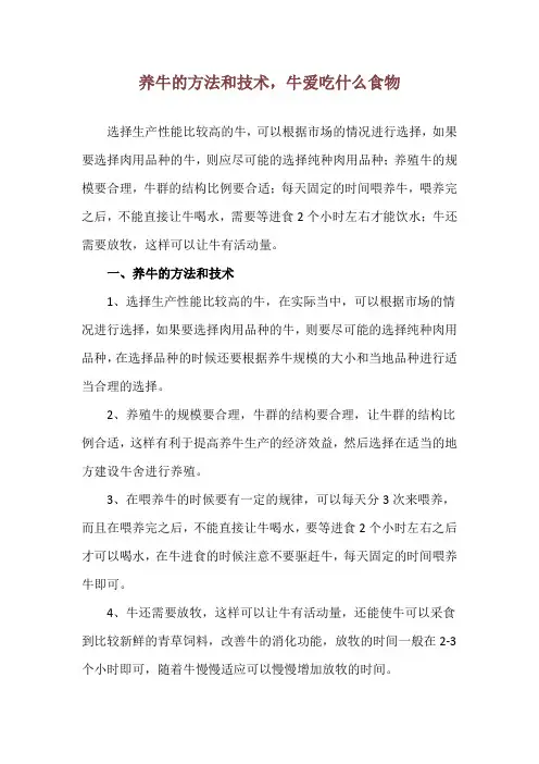 养牛的方法和技术,牛爱吃什么食物