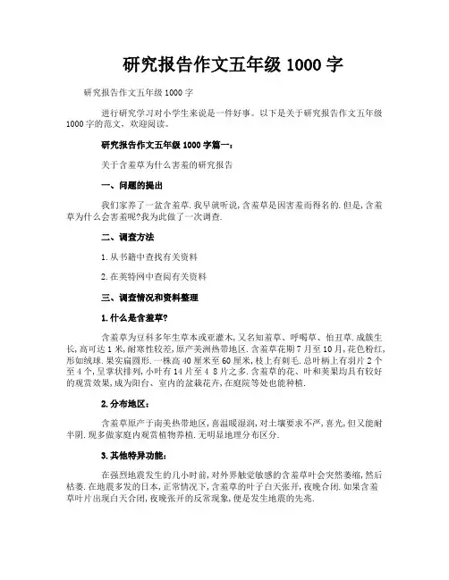 研究报告作文五年级1000字