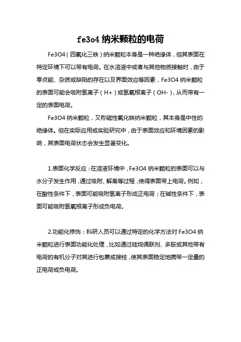 fe3o4纳米颗粒的电荷