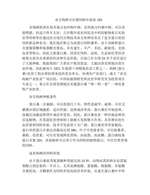 杂交构树可在猪饲料中添加45%