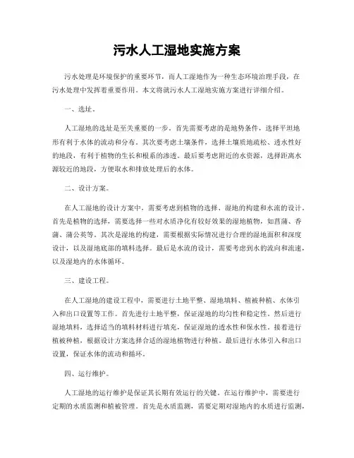 污水人工湿地实施方案