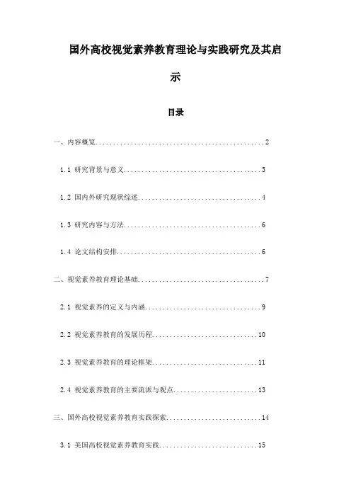 国外高校视觉素养教育理论与实践研究及其启示