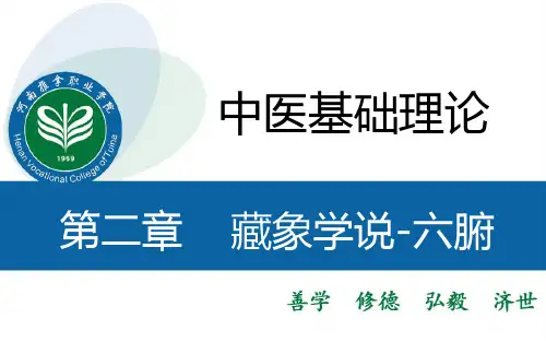 中医基础理论-藏象六腑奇恒之府