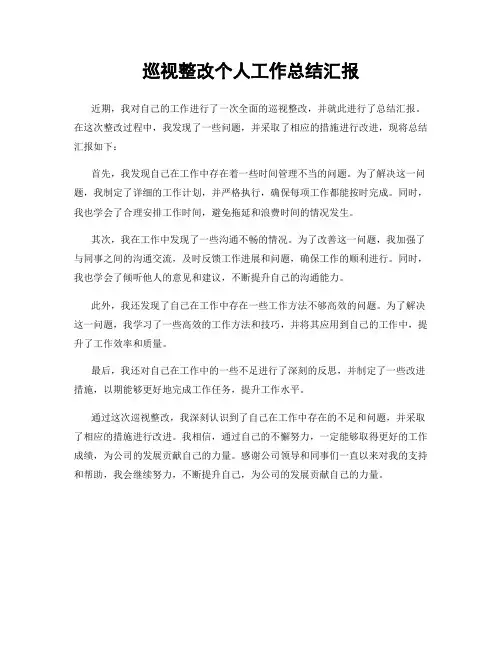 巡视整改个人工作总结汇报